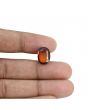 Hessonite (Gomed) - 7.05 Carat 