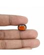 Hessonite (Gomed) - 7.05 Carat 