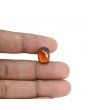 Hessonite (Gomed) - 7.05 Carat 