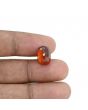 Hessonite (Gomed) - 7.43 Carat 