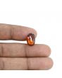 Hessonite (Gomed) - 5.61 Carat 