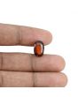Hessonite (Gomed) - 5.81 Carat 