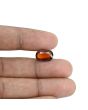 Hessonite (Gomed) - 5.81 Carat 