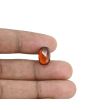 Hessonite (Gomed) - 5.81 Carat 