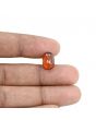 Hessonite (Gomed) - 5.91 Carat 