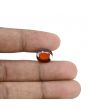 Hessonite (Gomed) - 6.7 Carat 
