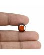 Hessonite (Gomed) - 6.7 Carat 