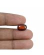 Hessonite (Gomed) - 6.62 Carat 