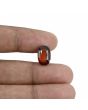 Hessonite (Gomed) - 6.62 Carat 