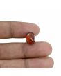 Hessonite (Gomed) - 7.47 Carat 