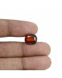 Hessonite (Gomed) - 7.64 Carat 