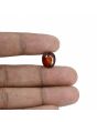 Hessonite (Gomed) - 6.38 Carat 