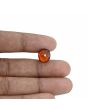 Hessonite (Gomed) - 6.38 Carat 