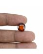Hessonite (Gomed) - 6.75 Carat 