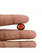 Hessonite (Gomed) - 7.24 Carat 