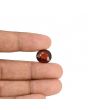 Hessonite (Gomed) - 8.86 Carat 
