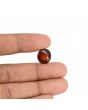Hessonite (Gomed) - 8.86 Carat 