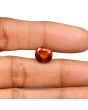 Hessonite (Gomed) - 5.54 Carat 