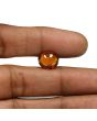 Hessonite (Gomed) - 6.77 Carat 