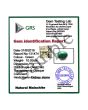 Malachite (Kidney Stone) 11.7 Carat 