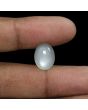 Moonstone 7.25 Carat 