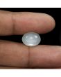 Moonstone 7.83 Carat 
