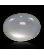 Moonstone 7.26 Carat 