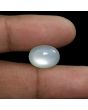 Moonstone 7.26 Carat 