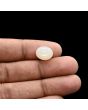Moonstone 5.31 Carat 