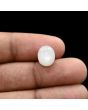 Moonstone 4.74 Carat 
