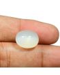 Moonstone 12.69 Carat 
