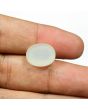 Moonstone 12.69 Carat 