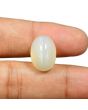 Moonstone 14.26 Carat 
