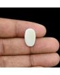 Australian Opal 6.46 Carat 