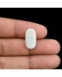 Australian Opal 6.52 Carat 