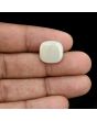 Australian Opal 7.45 Carat 