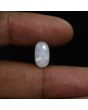 Australian Fire Opal 2.6 Carat 