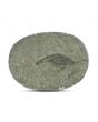 Natural Pyrite Cts 12.31 Ratti 13.53