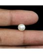 South Sea Pearl (Moti) 4.27 Carat 