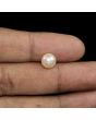 South Sea Pearl (Moti) 4.64 Carat 