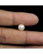 South Sea Pearl (Moti) 4.64 Carat 