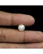 South Sea Pearl (Moti) 7.26 Carat 