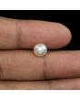 South Sea Pearl (Moti) 4.15 Carat 
