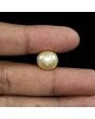 South Sea Pearl (Moti) 13.52 Carat 