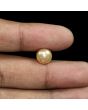 South Sea Pearl (Moti) 6.75 Carat 