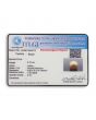 South Sea Pearl (Moti) 6.75 Carat 