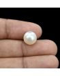 South Sea Pearl (Moti) 7.55 Carat 