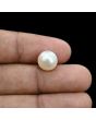 South Sea Pearl (Moti) 6.83 Carat 