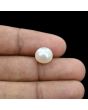 South Sea Pearl (Moti) 6.21 Carat 