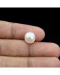 South Sea Pearl (Moti) 6.21 Carat 